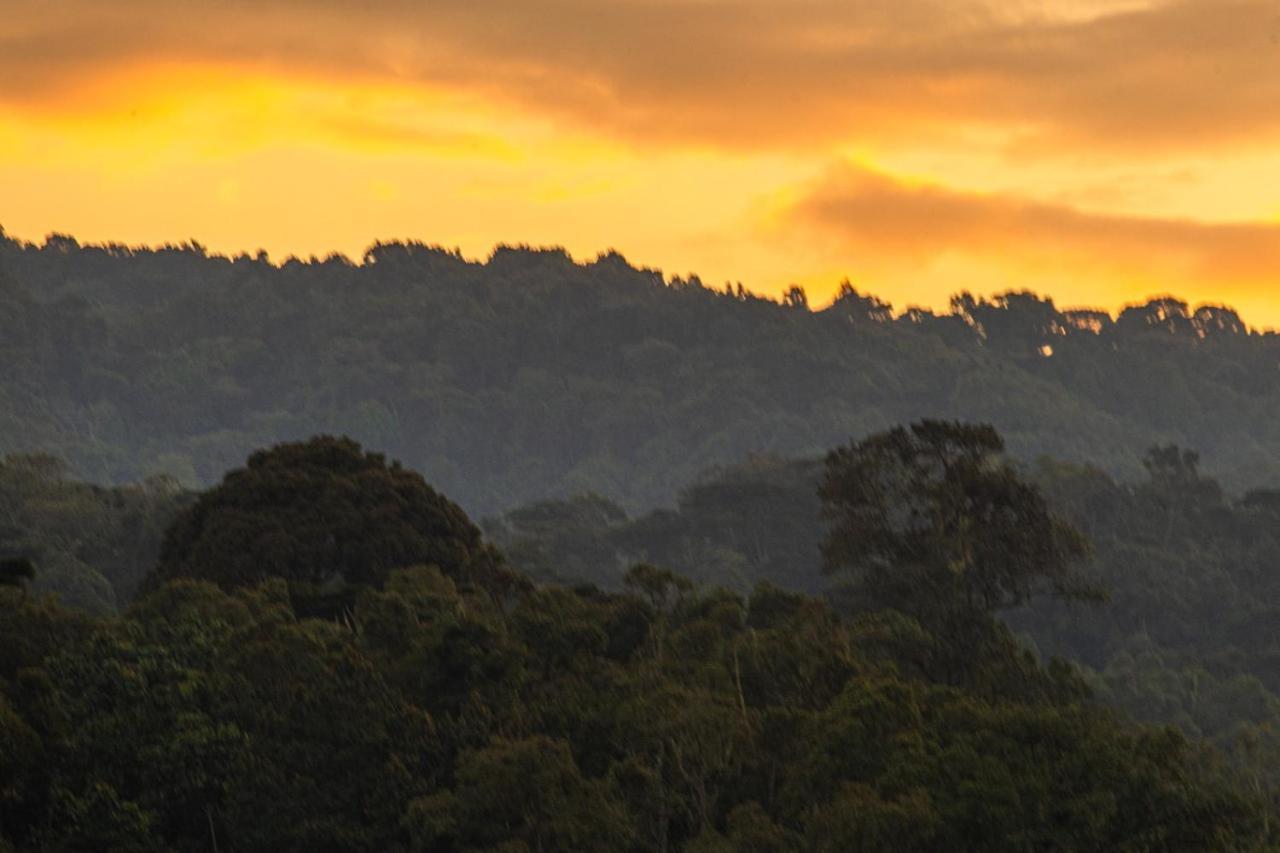 Gorilla Safari Lodge Rubuguli Esterno foto