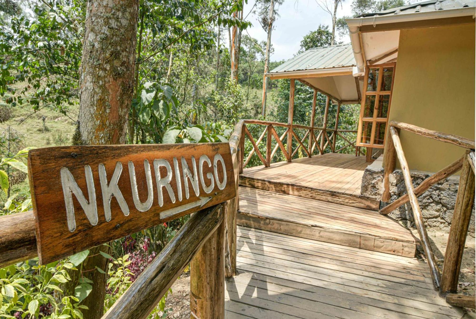Gorilla Safari Lodge Rubuguli Esterno foto