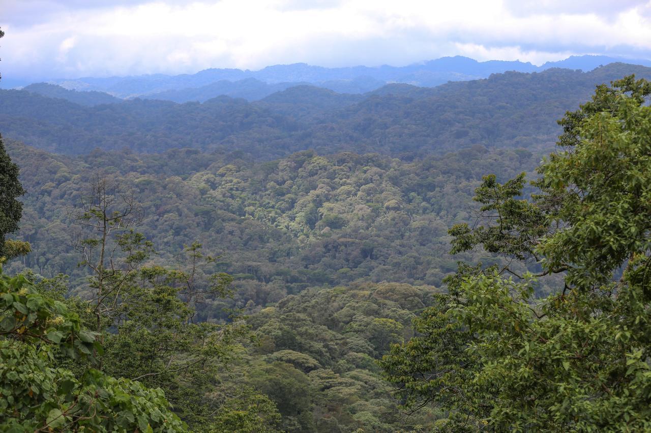 Gorilla Safari Lodge Rubuguli Esterno foto